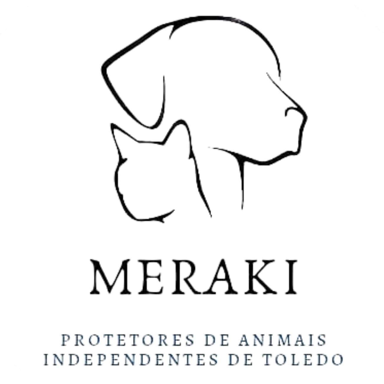Meraki